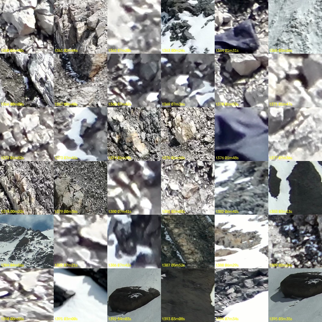 montage_10.jpg