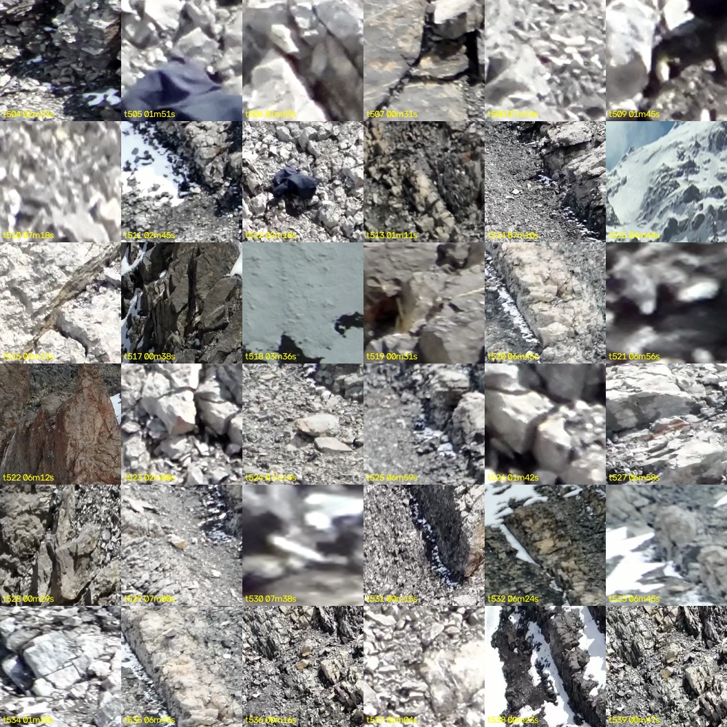 montage_14.jpg