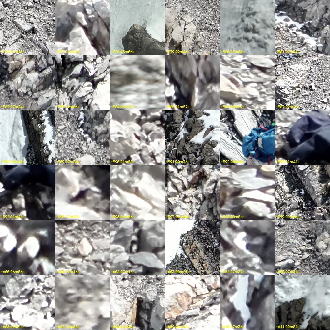 montage_16.jpg