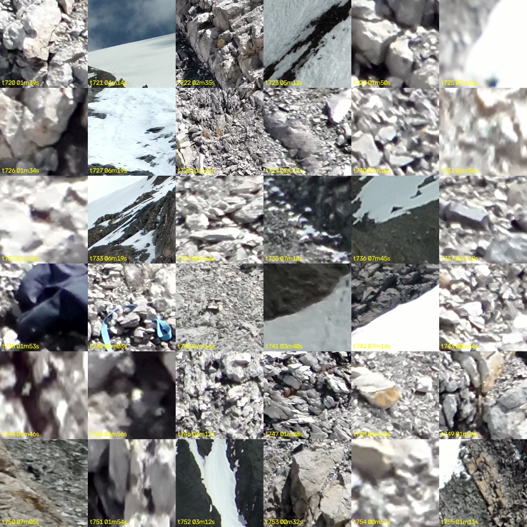 montage_20.jpg