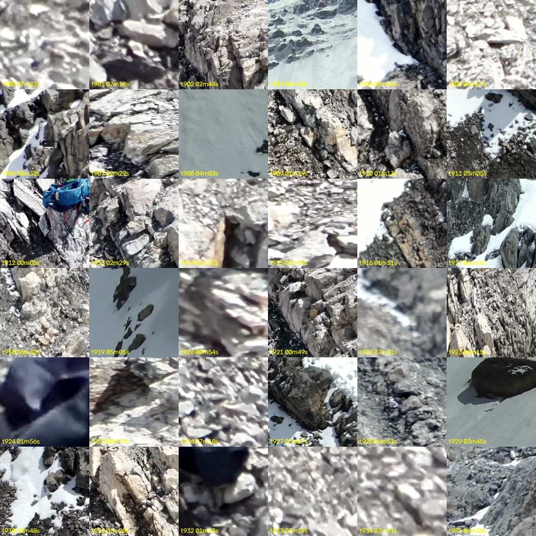 montage_25.jpg