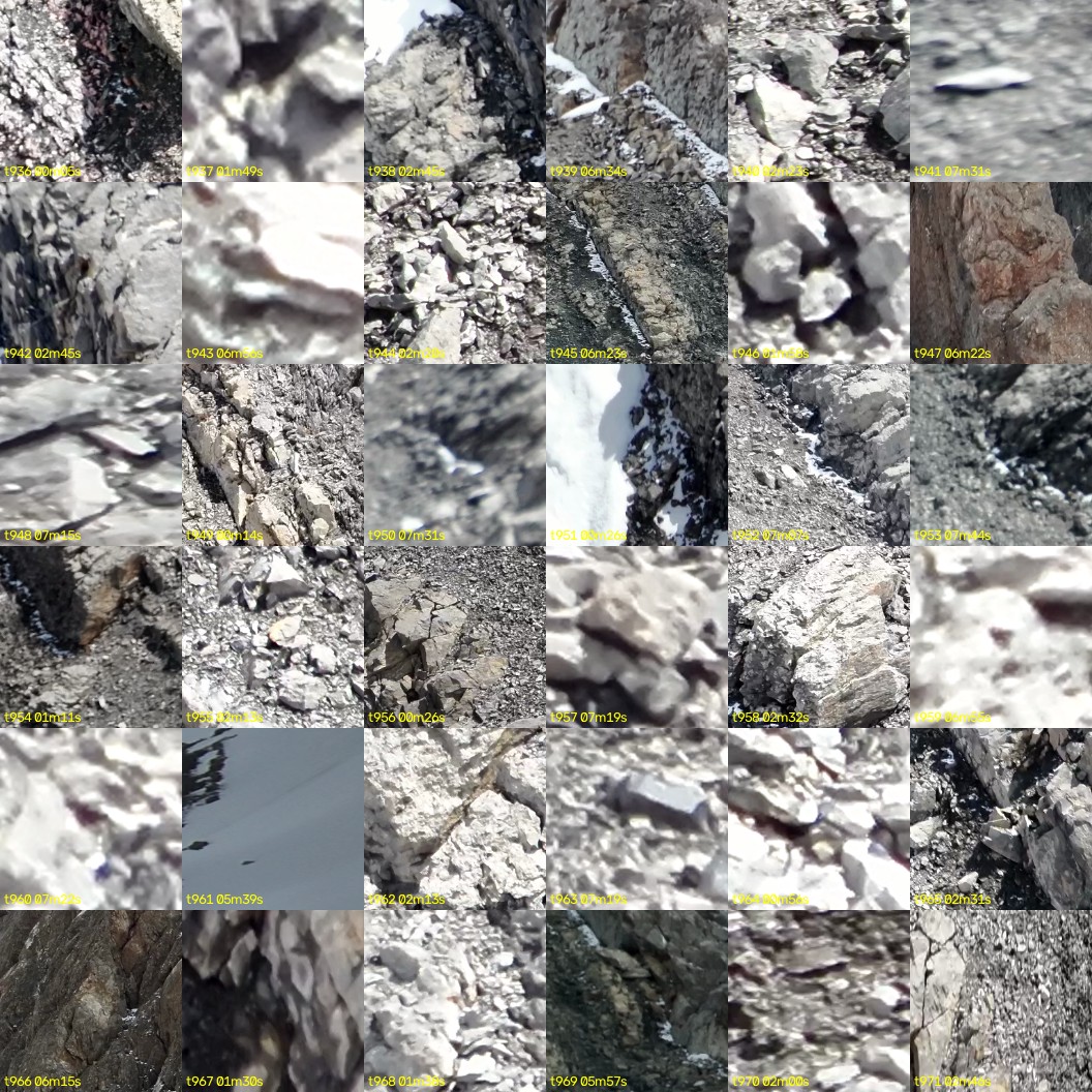 montage_26.jpg