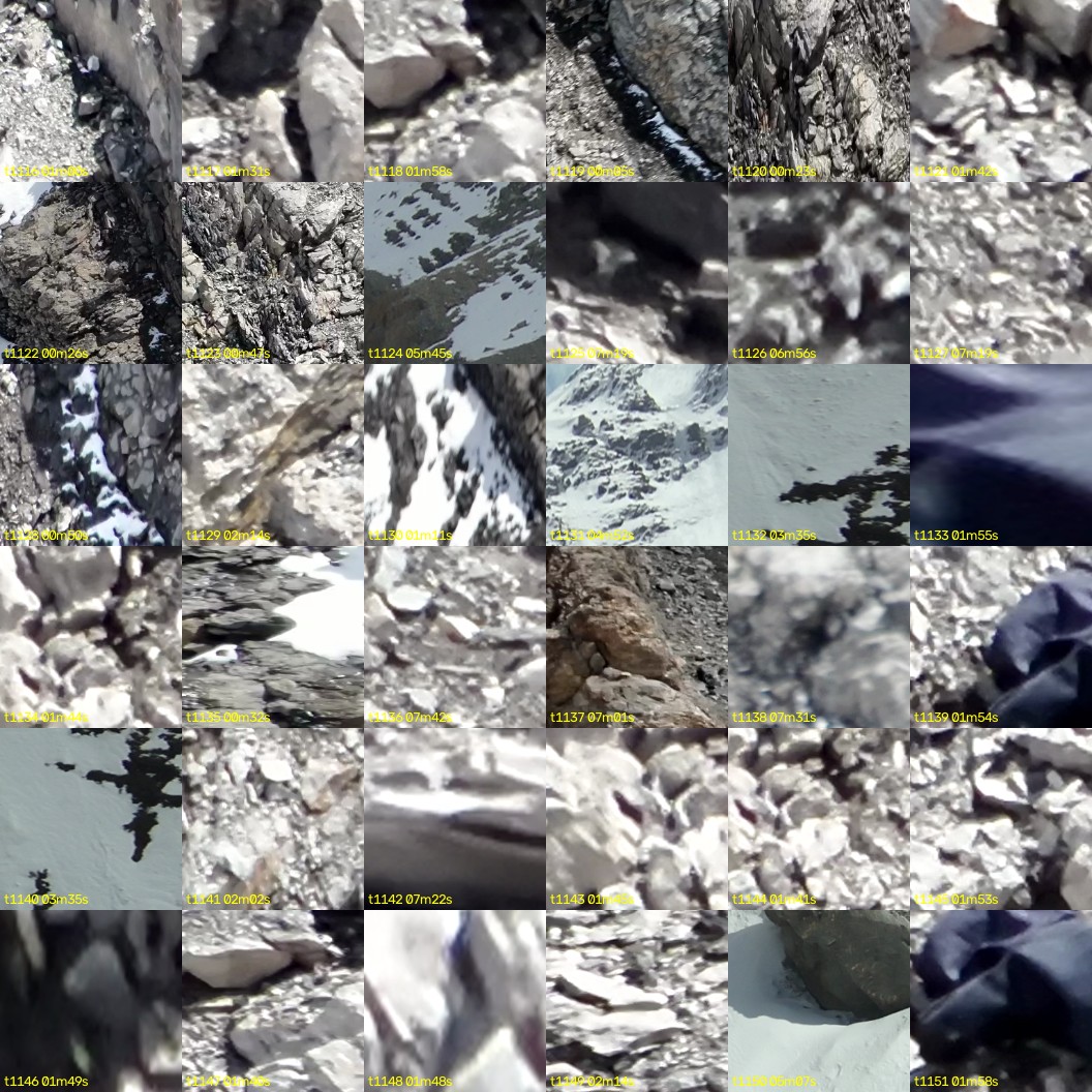 montage_31.jpg