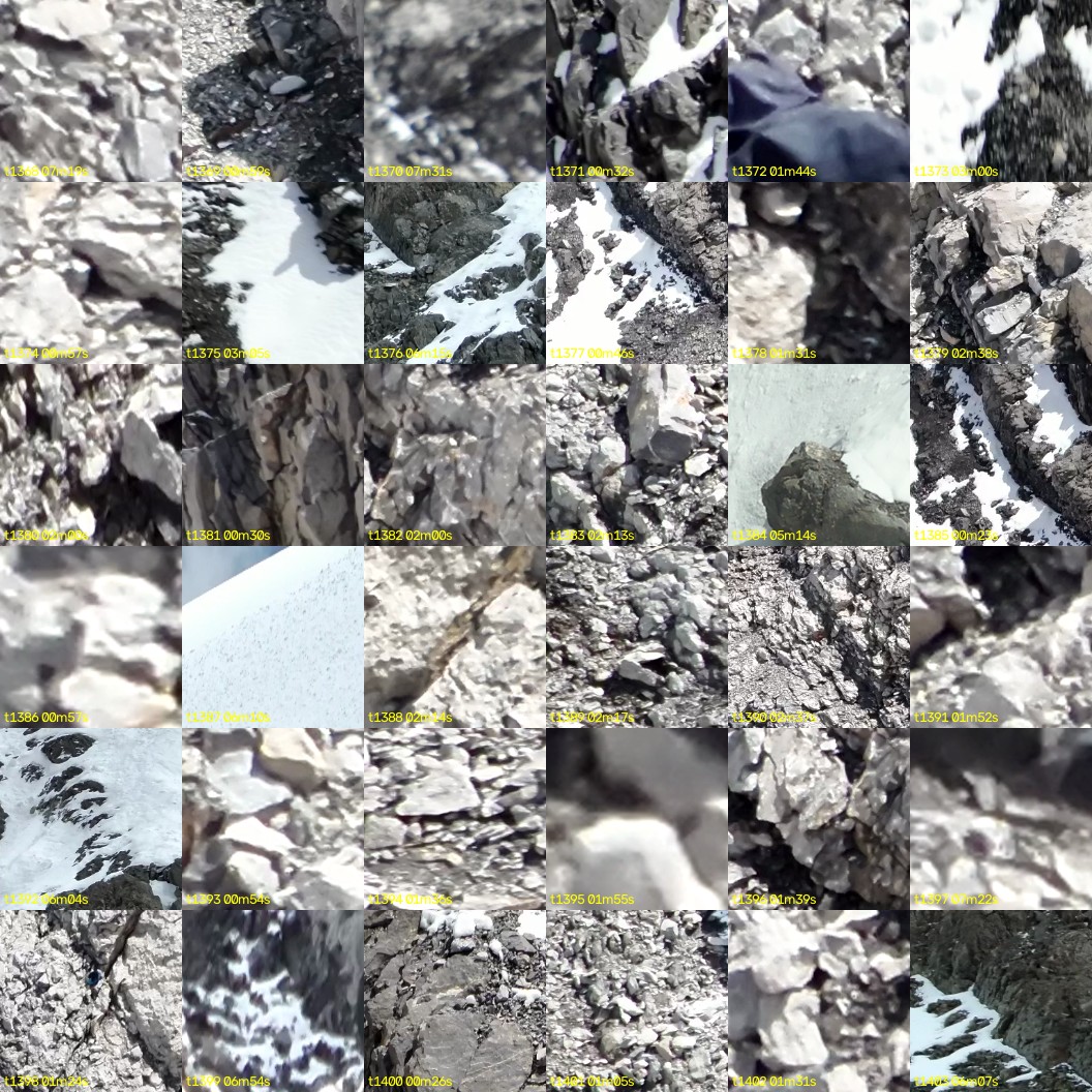 montage_38.jpg