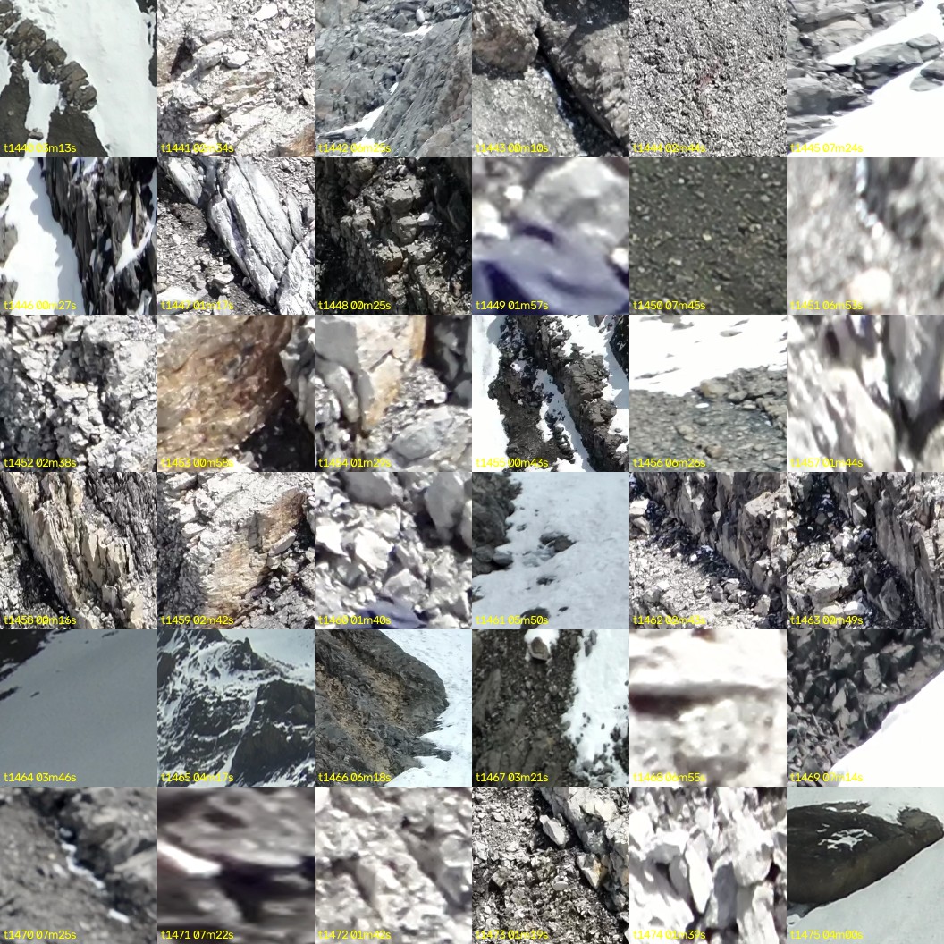 montage_40.jpg