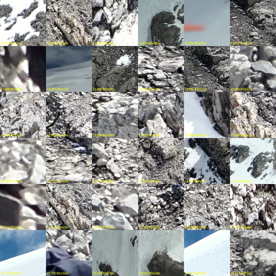 montage_47.jpg