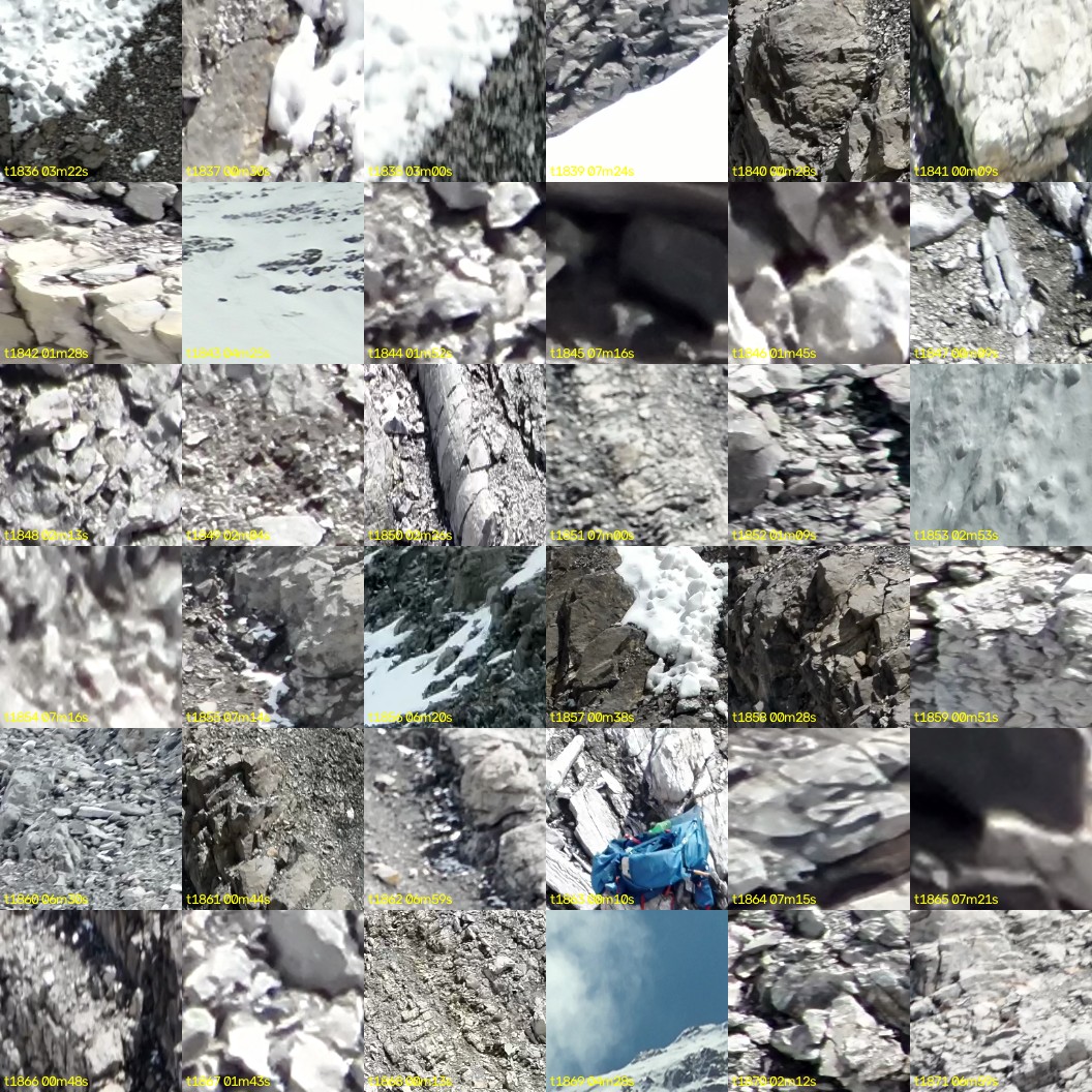 montage_51.jpg
