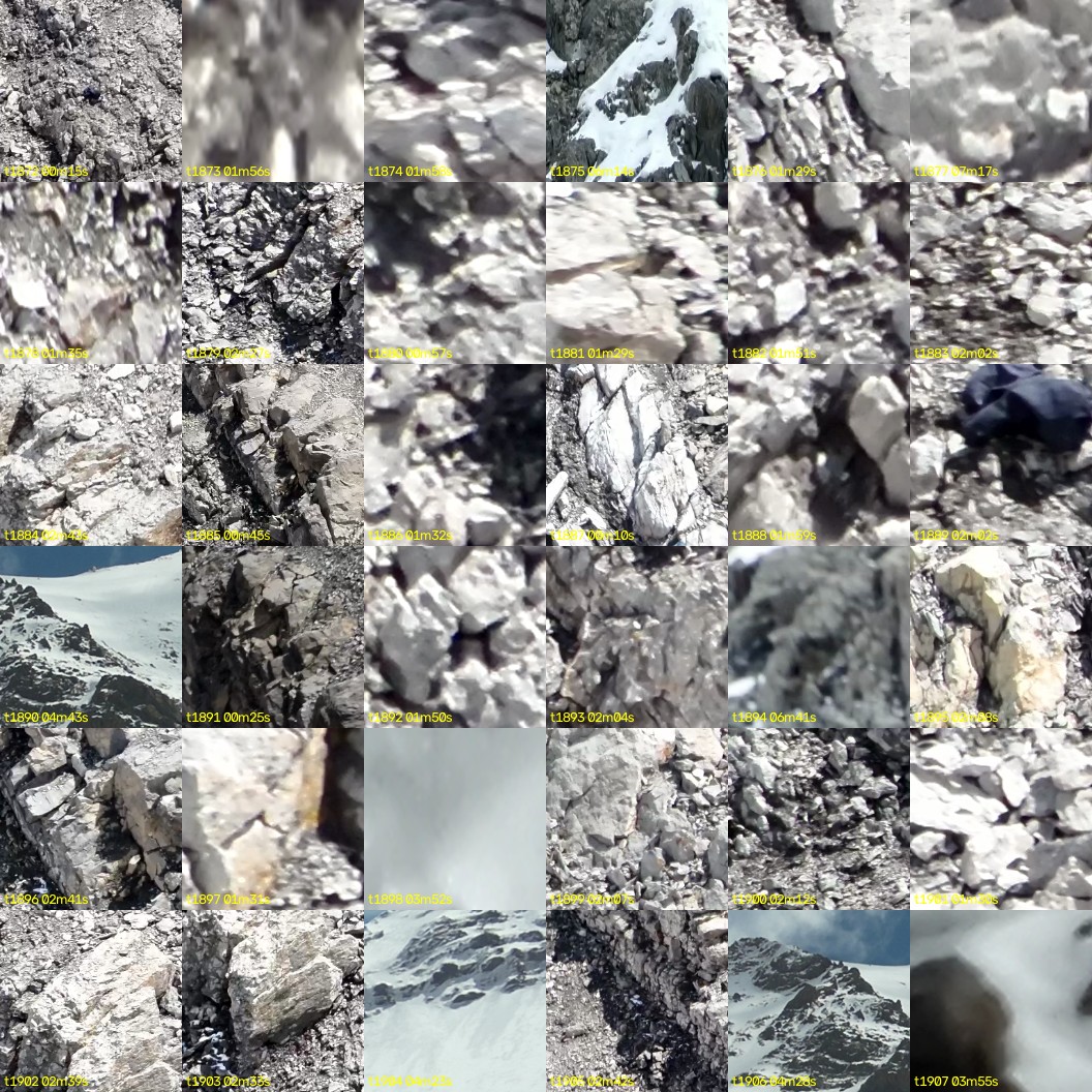 montage_52.jpg