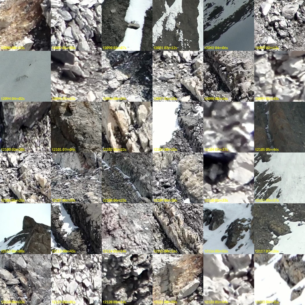 montage_58.jpg
