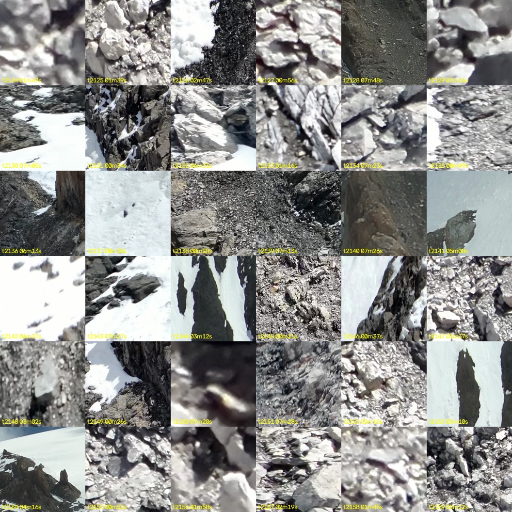 montage_59.jpg