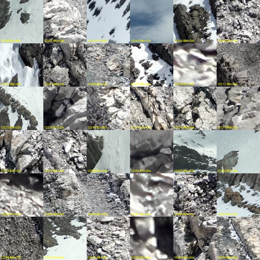 montage_60.jpg