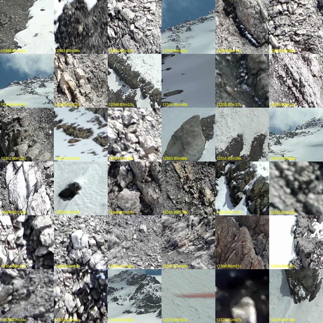 montage_65.jpg