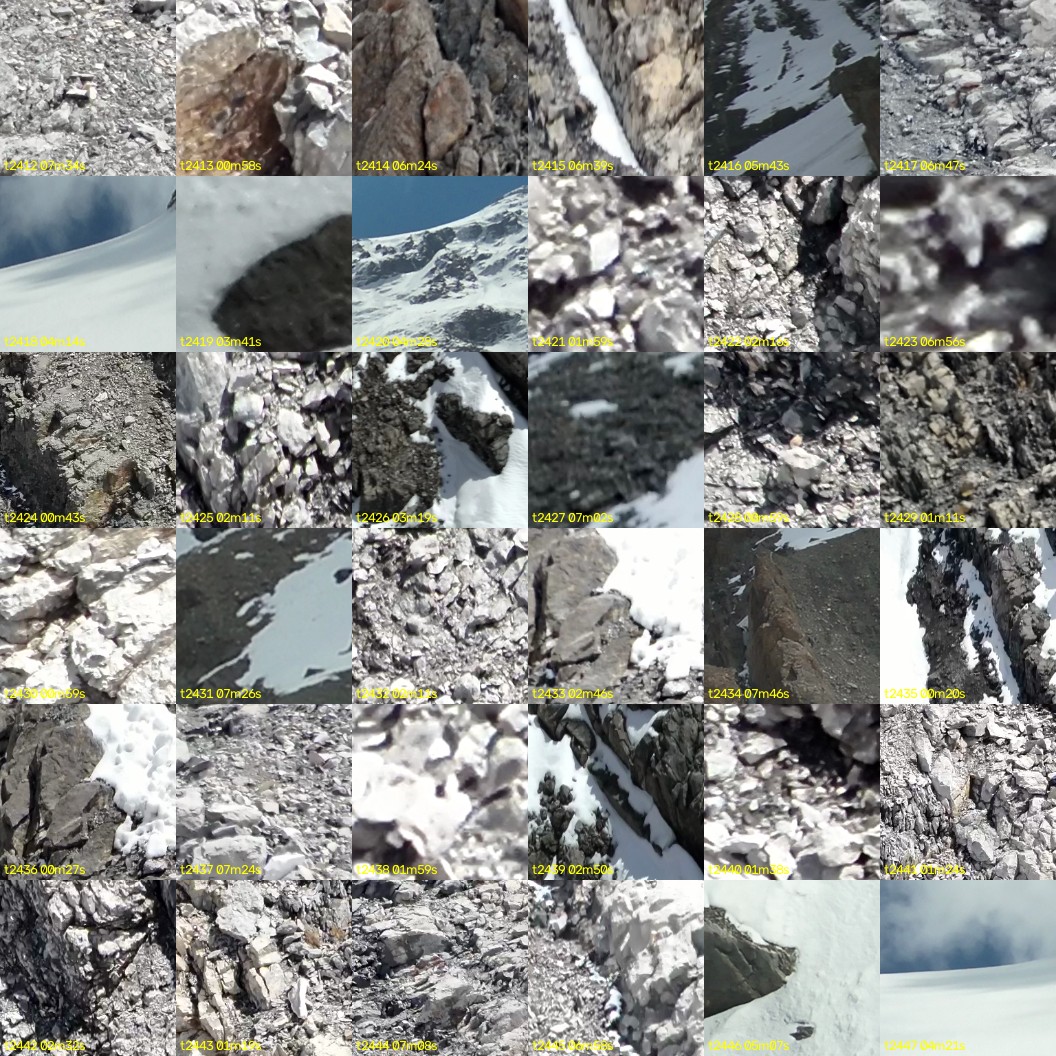montage_67.jpg