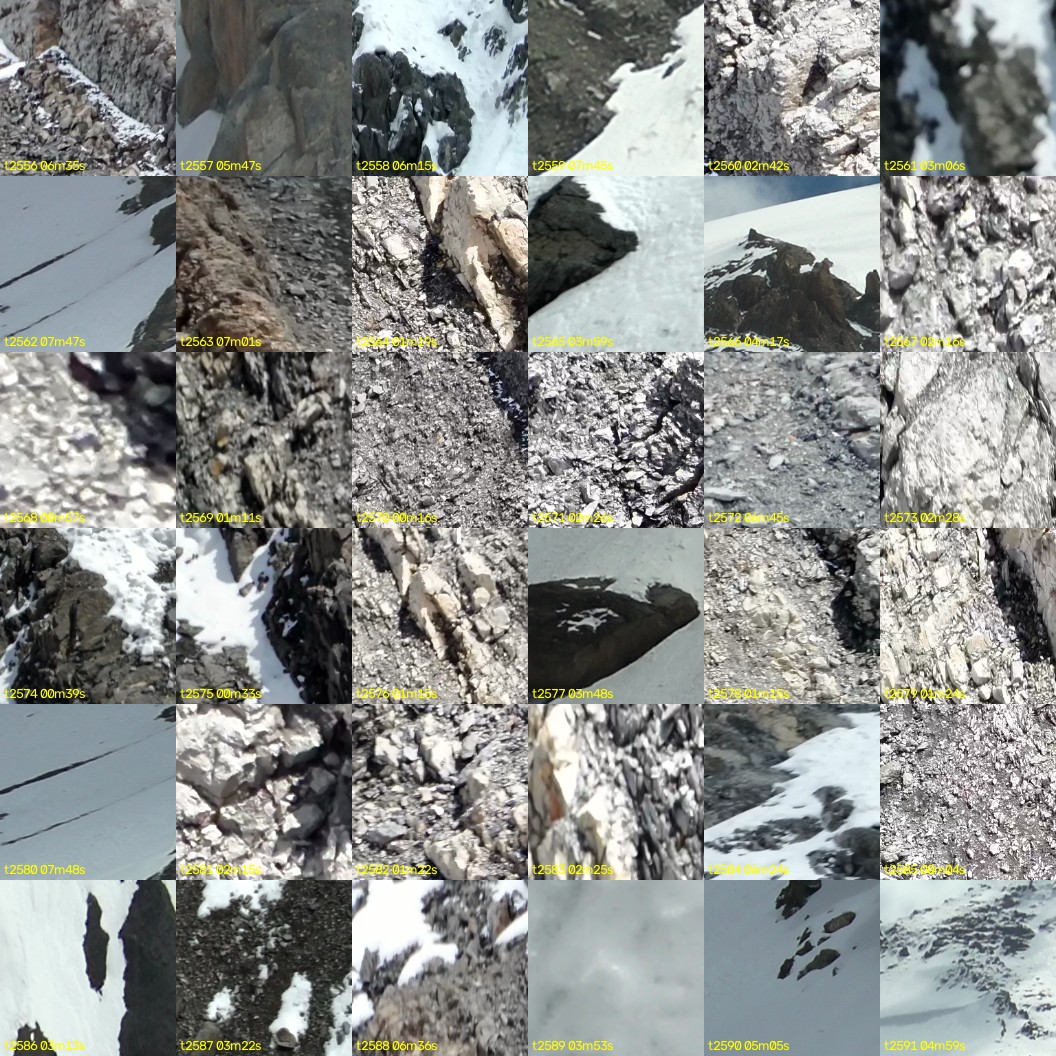 montage_71.jpg