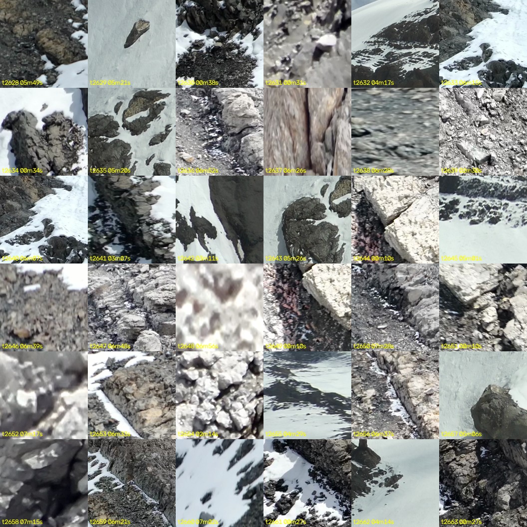 montage_73.jpg
