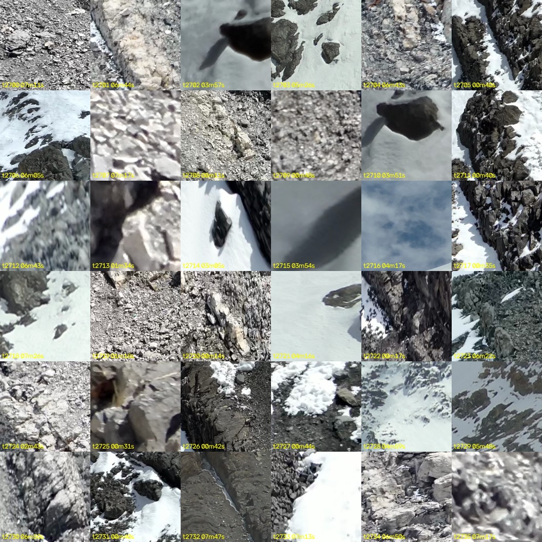montage_75.jpg