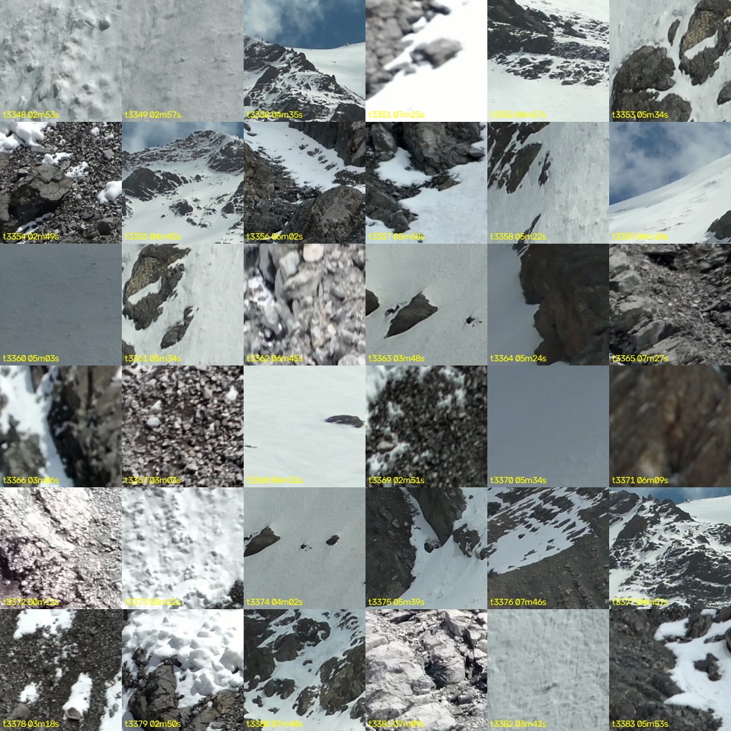 montage_93.jpg