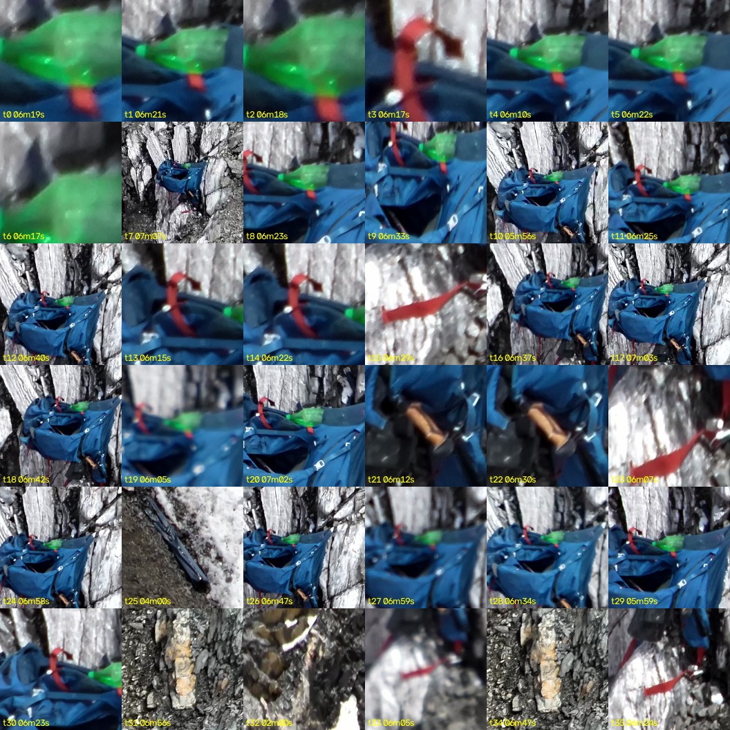 montage_00.jpg