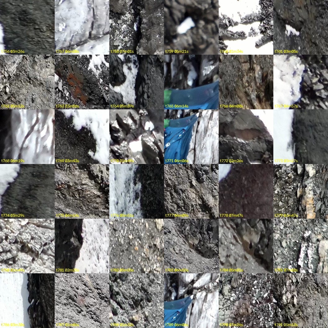 montage_21.jpg