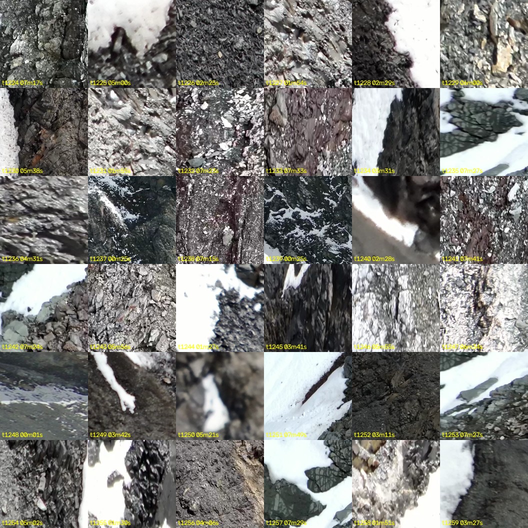 montage_34.jpg
