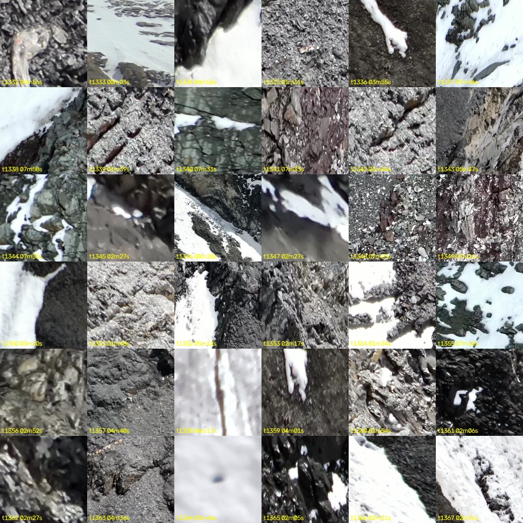 montage_37.jpg