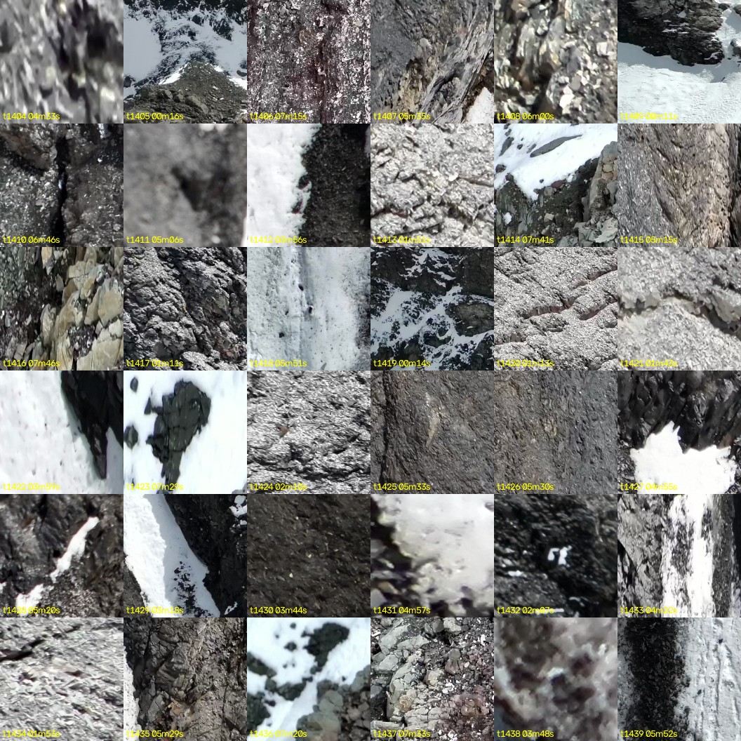 montage_39.jpg