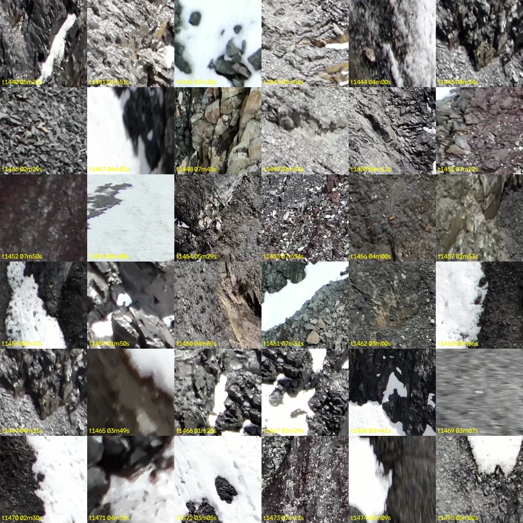 montage_40.jpg