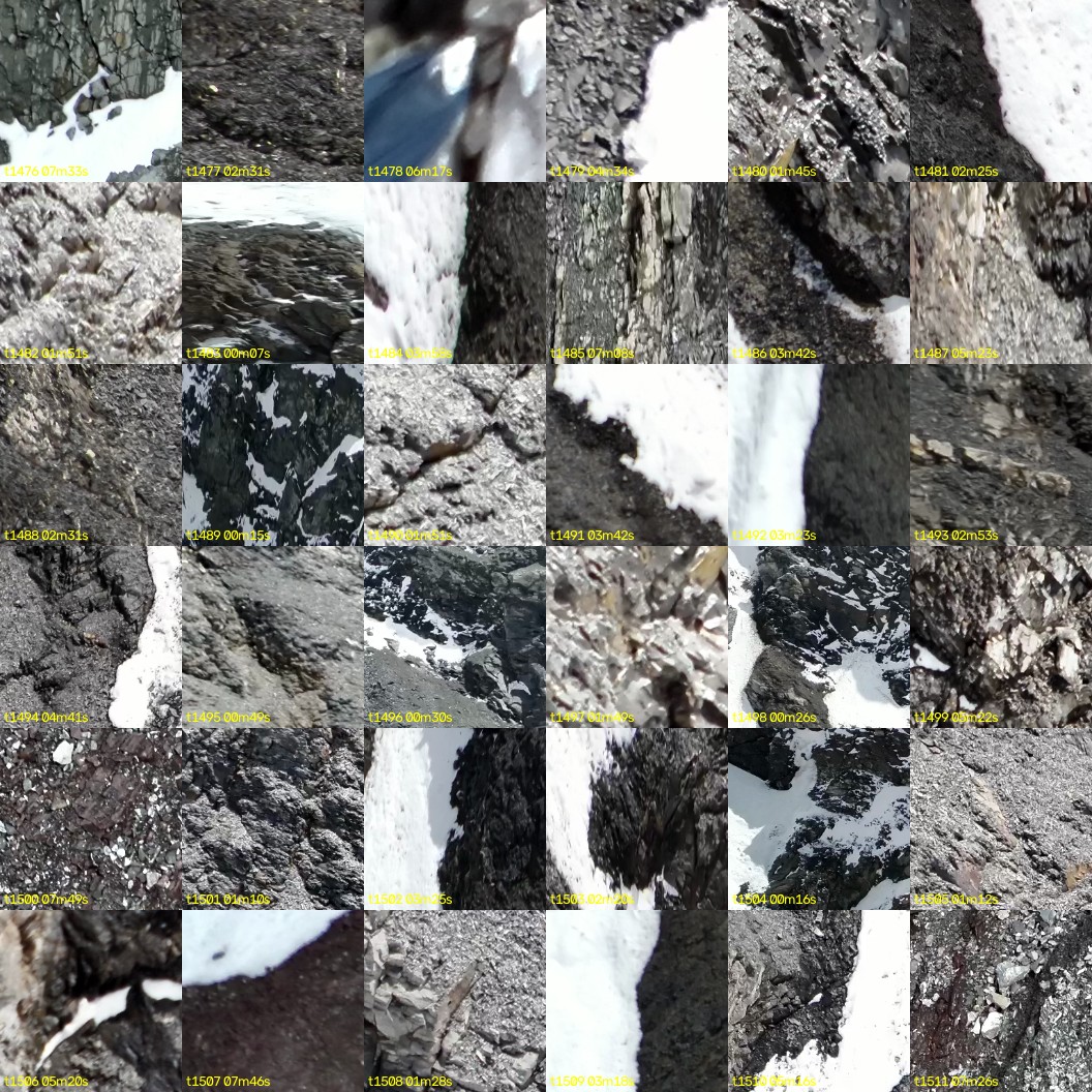 montage_41.jpg