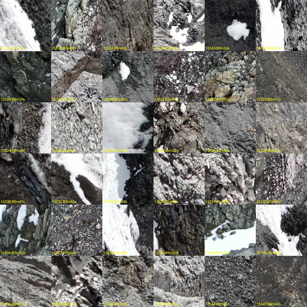 montage_42.jpg