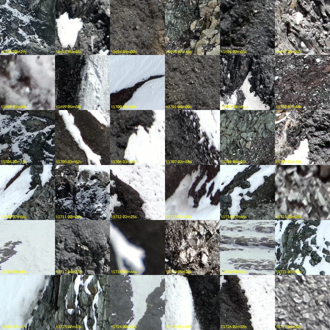 montage_47.jpg