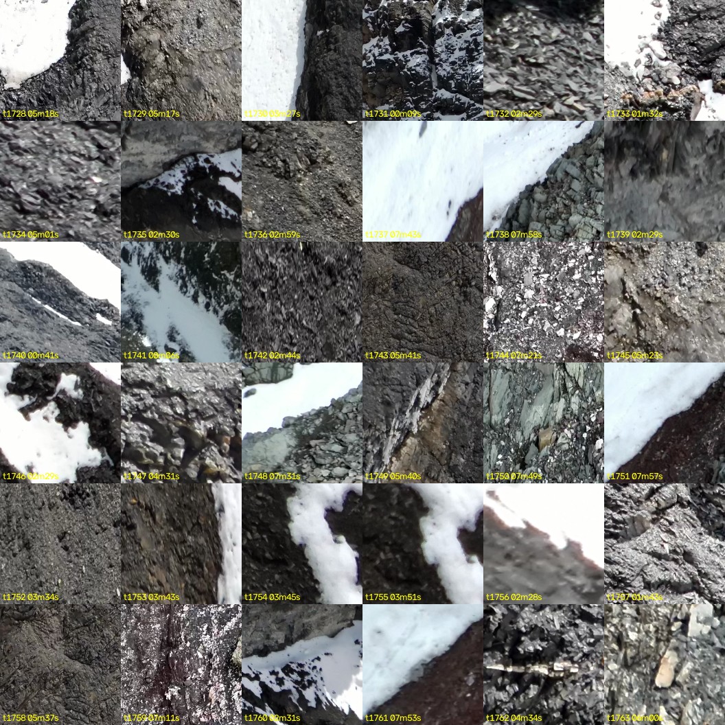 montage_48.jpg