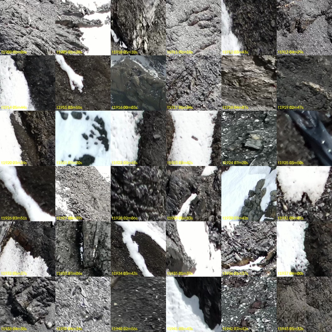 montage_53.jpg