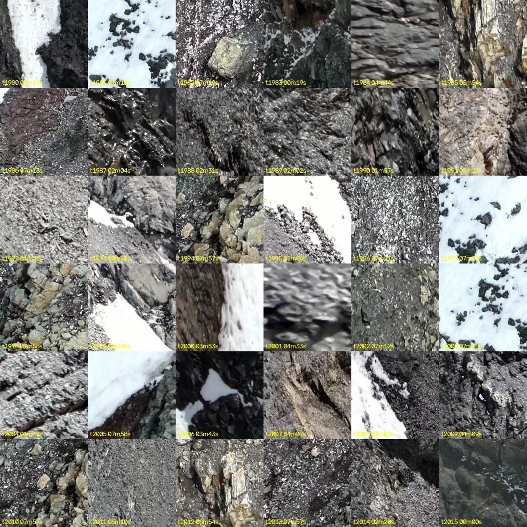 montage_55.jpg