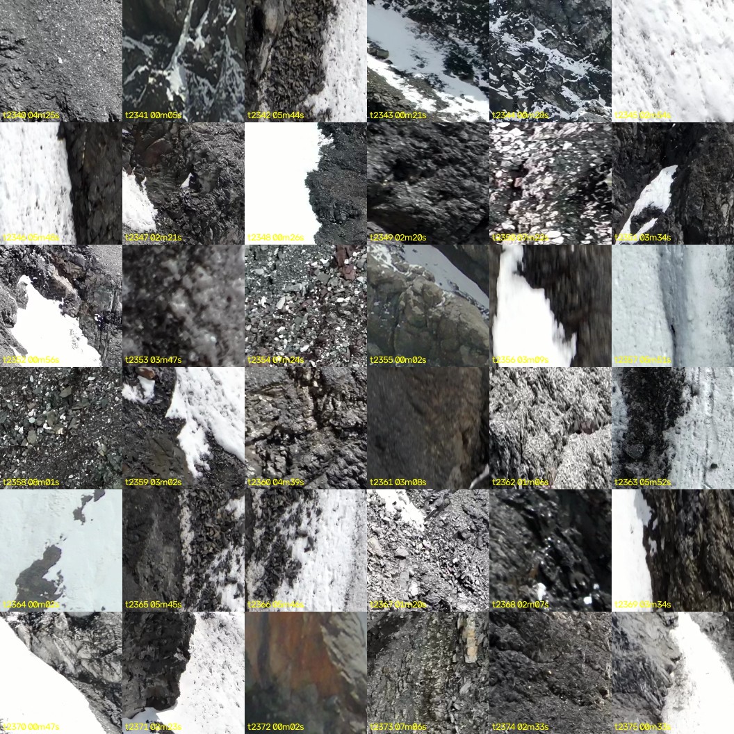 montage_65.jpg