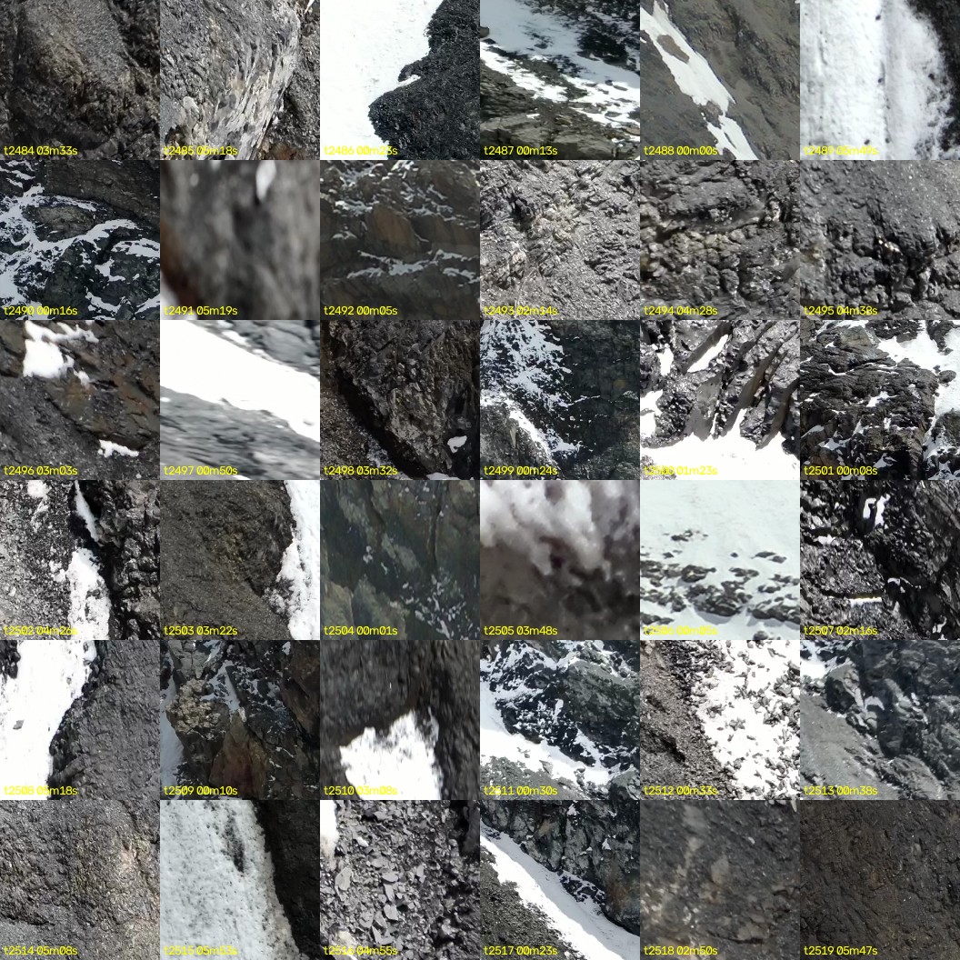 montage_69.jpg