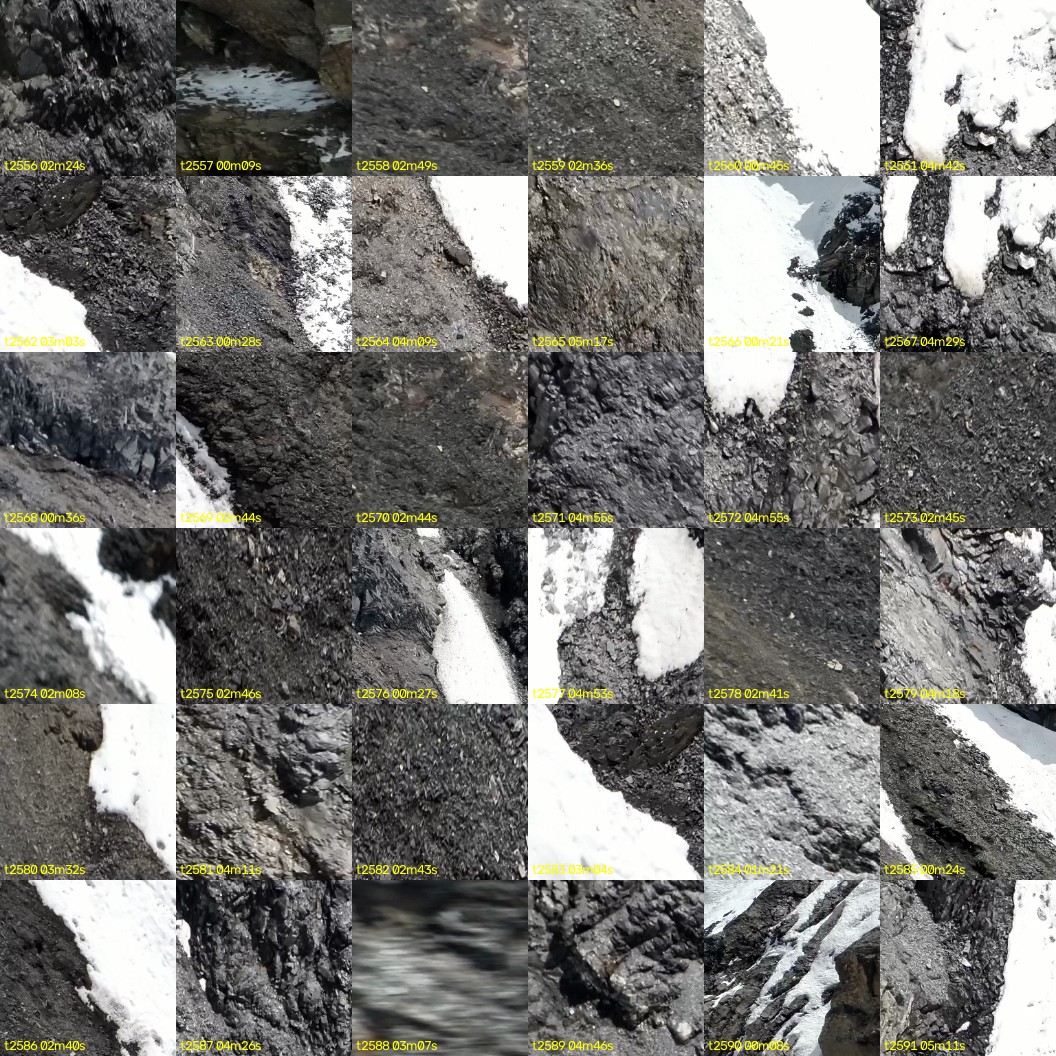 montage_71.jpg