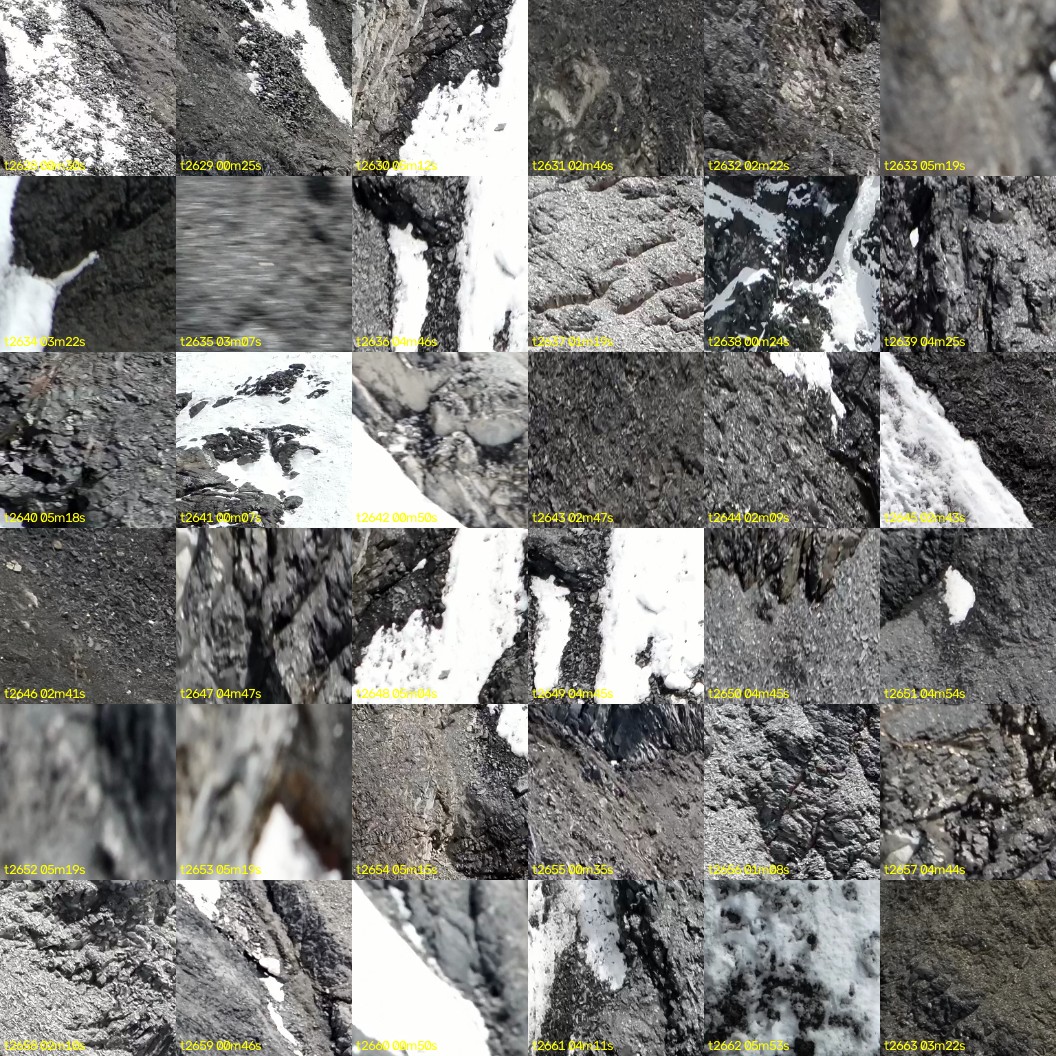 montage_73.jpg