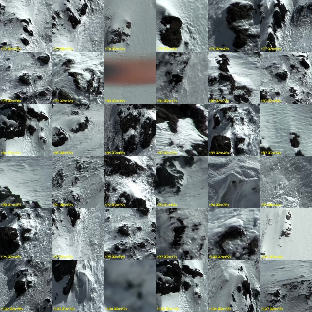 montage_02.jpg
