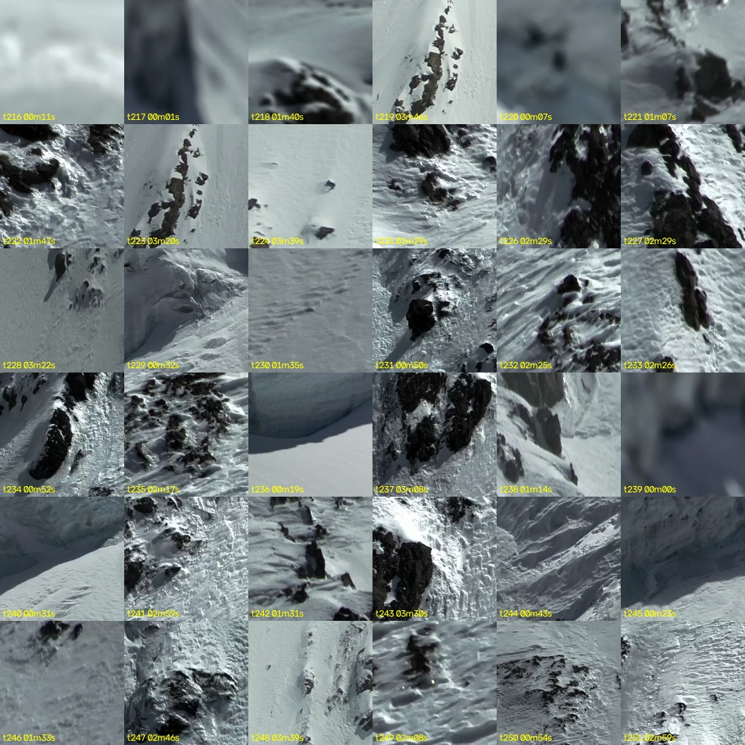 montage_06.jpg