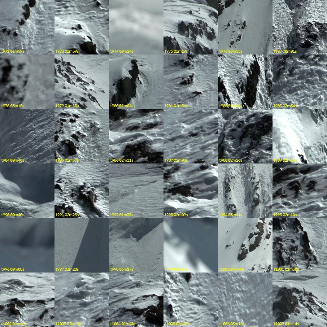 montage_27.jpg