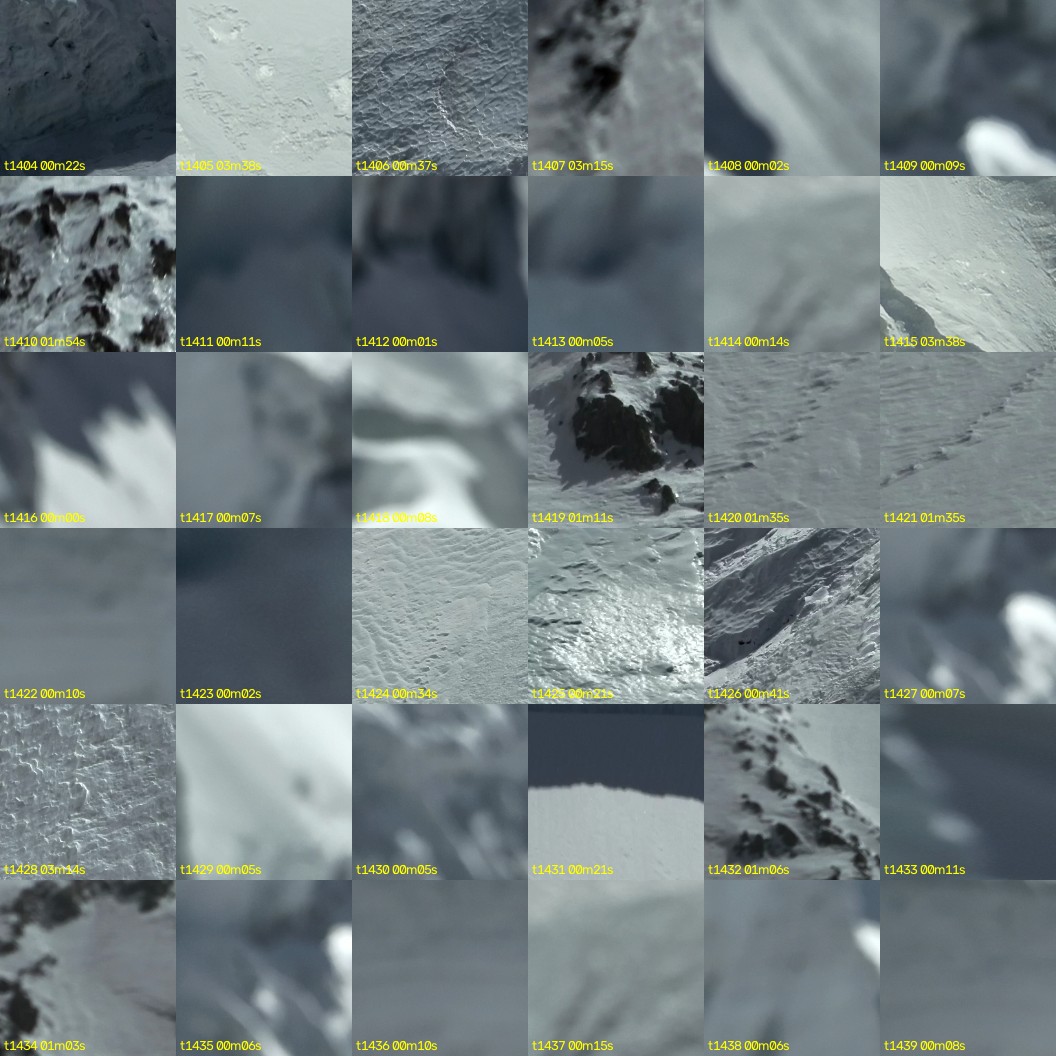 montage_39.jpg