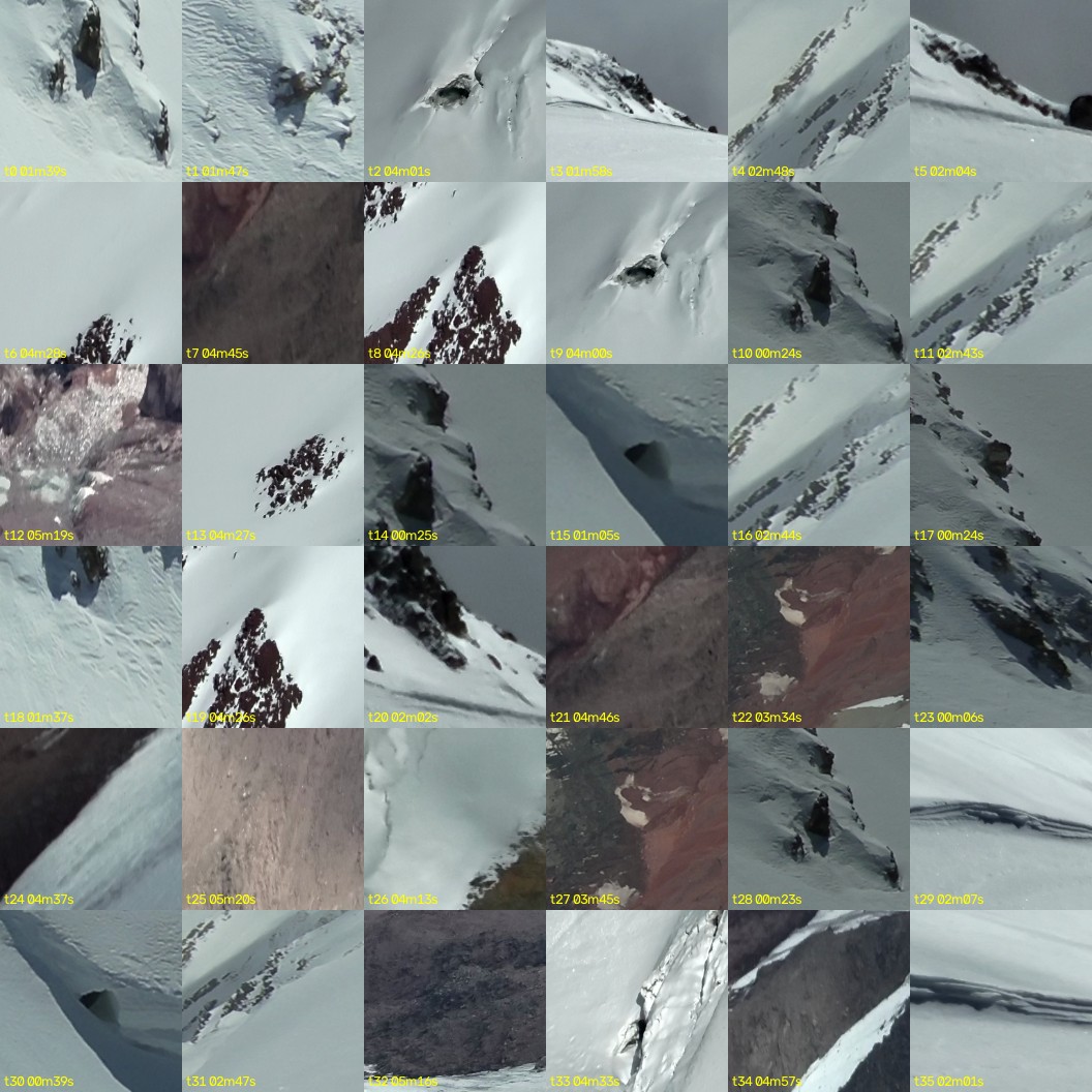 montage_00.jpg
