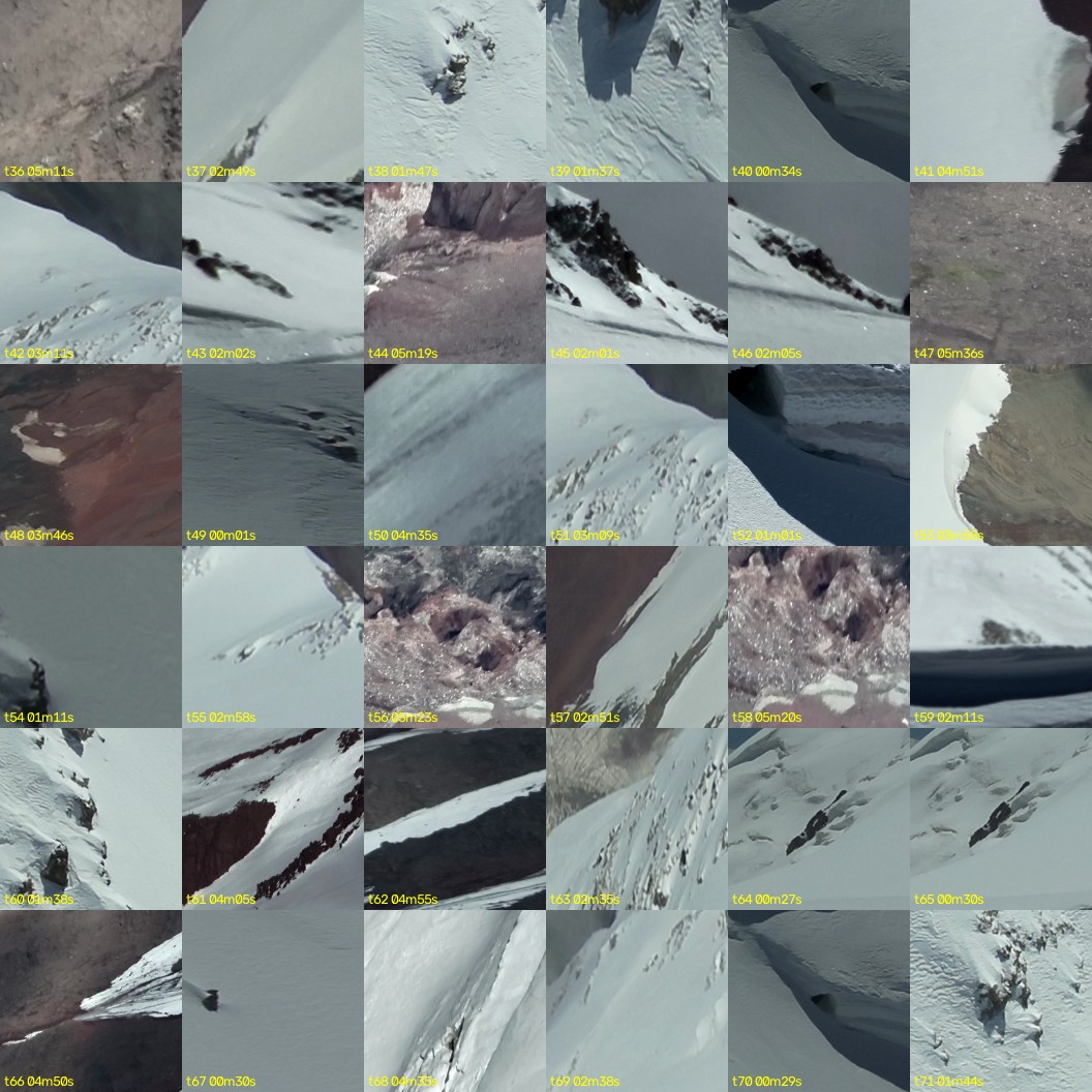 montage_01.jpg