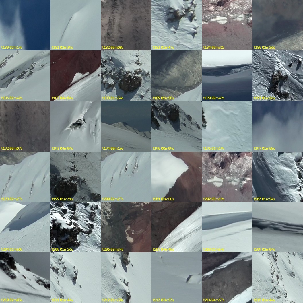 montage_05.jpg