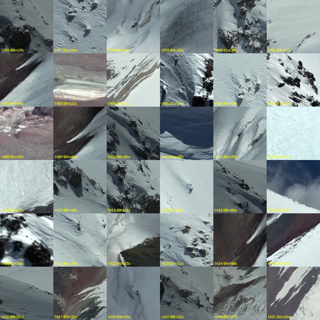 montage_11.jpg