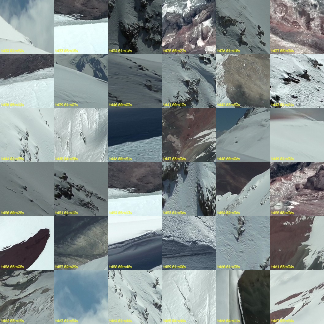 montage_12.jpg