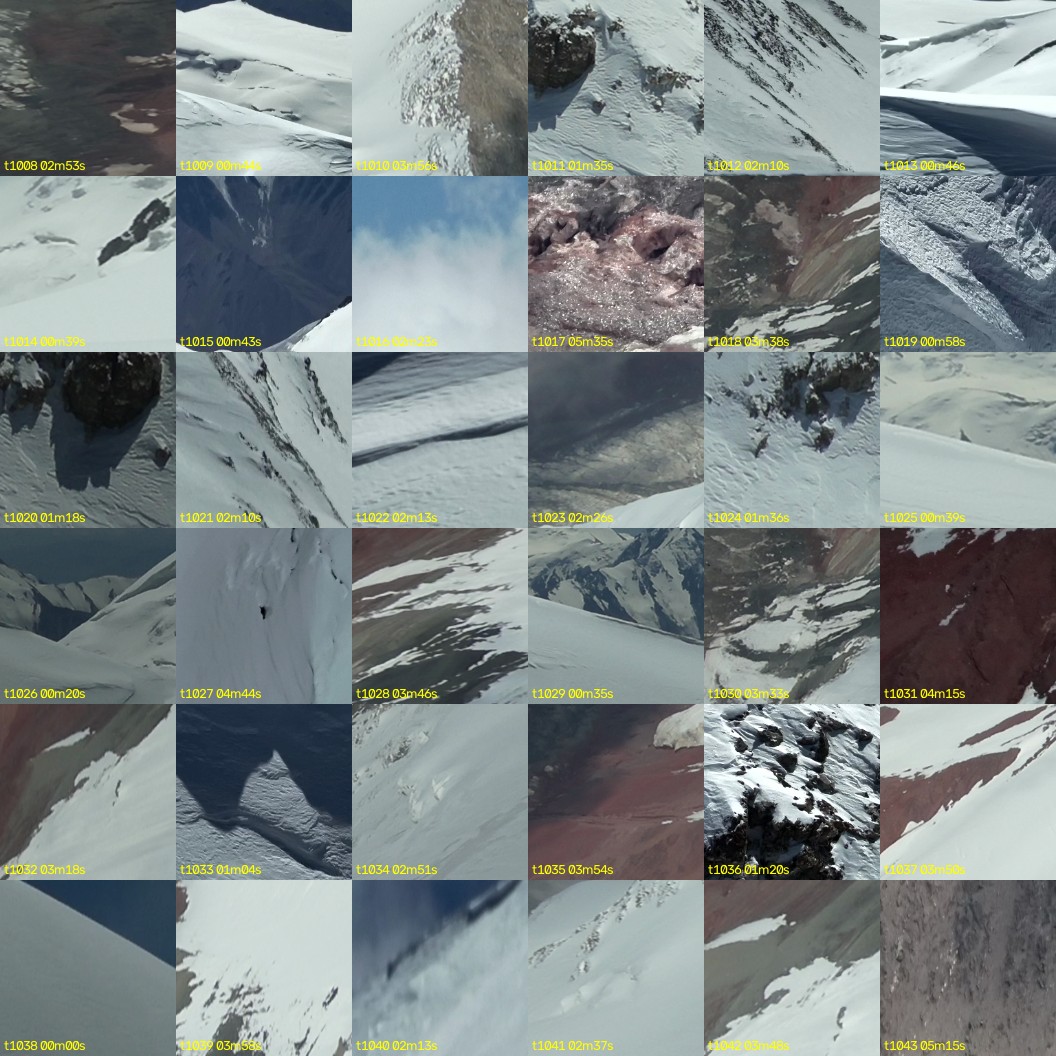 montage_28.jpg