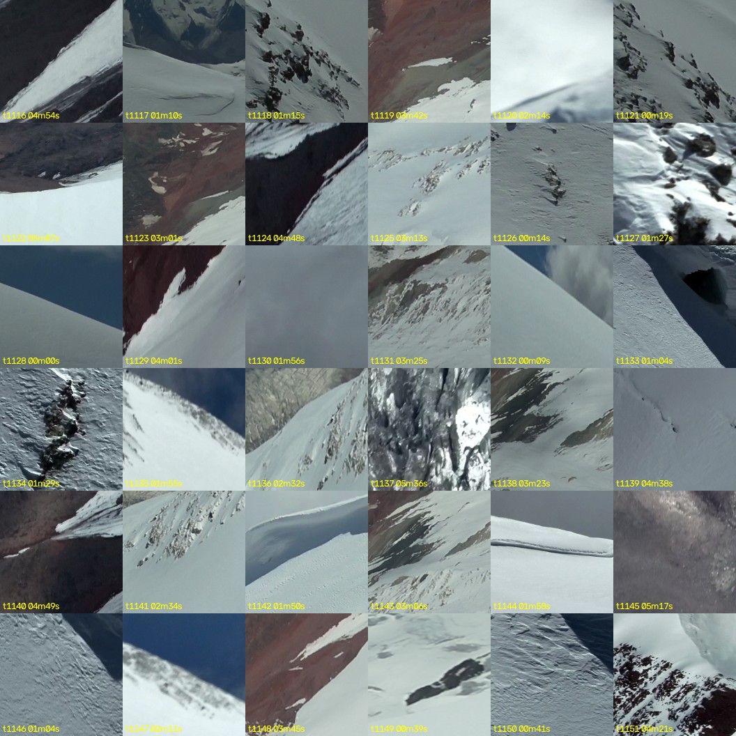 montage_31.jpg