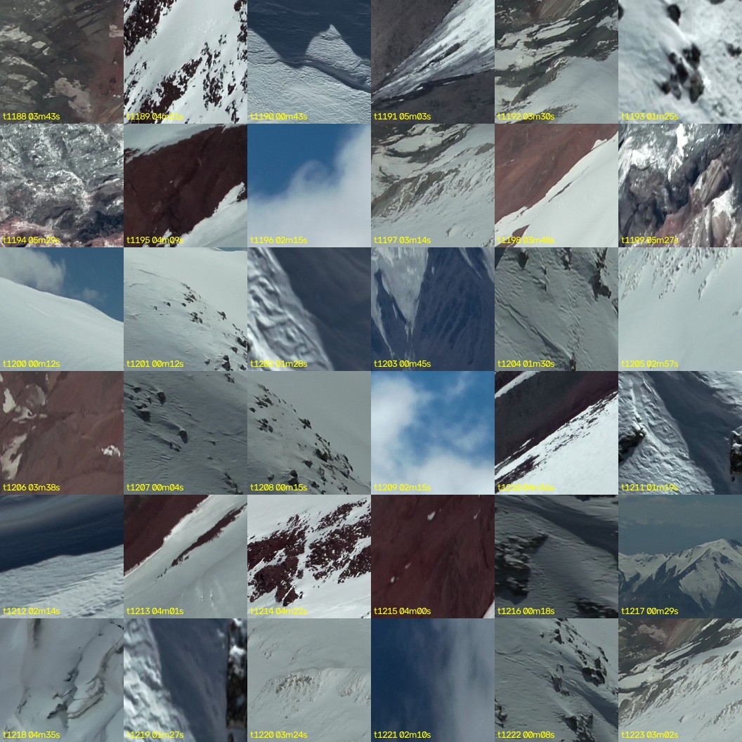 montage_33.jpg