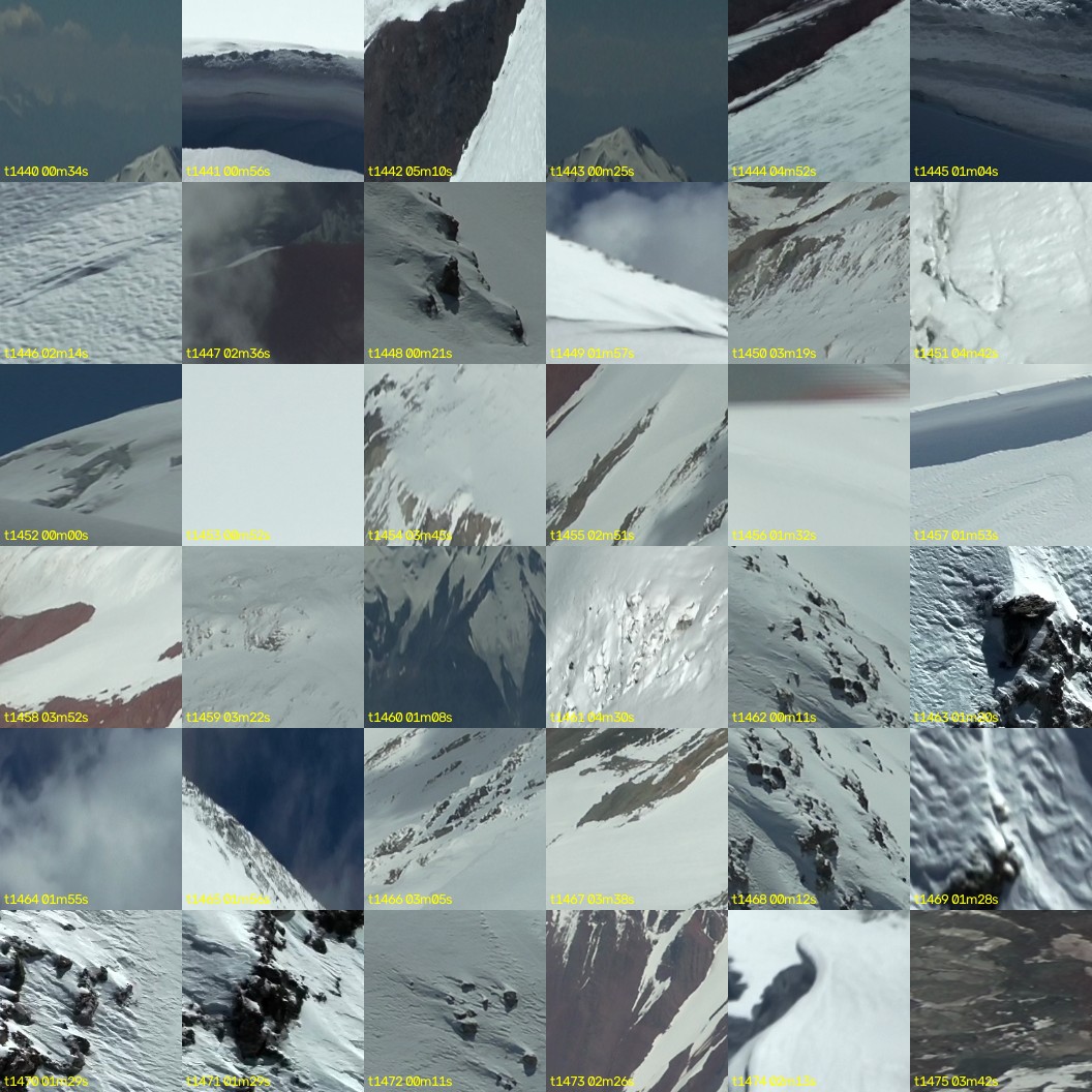 montage_40.jpg